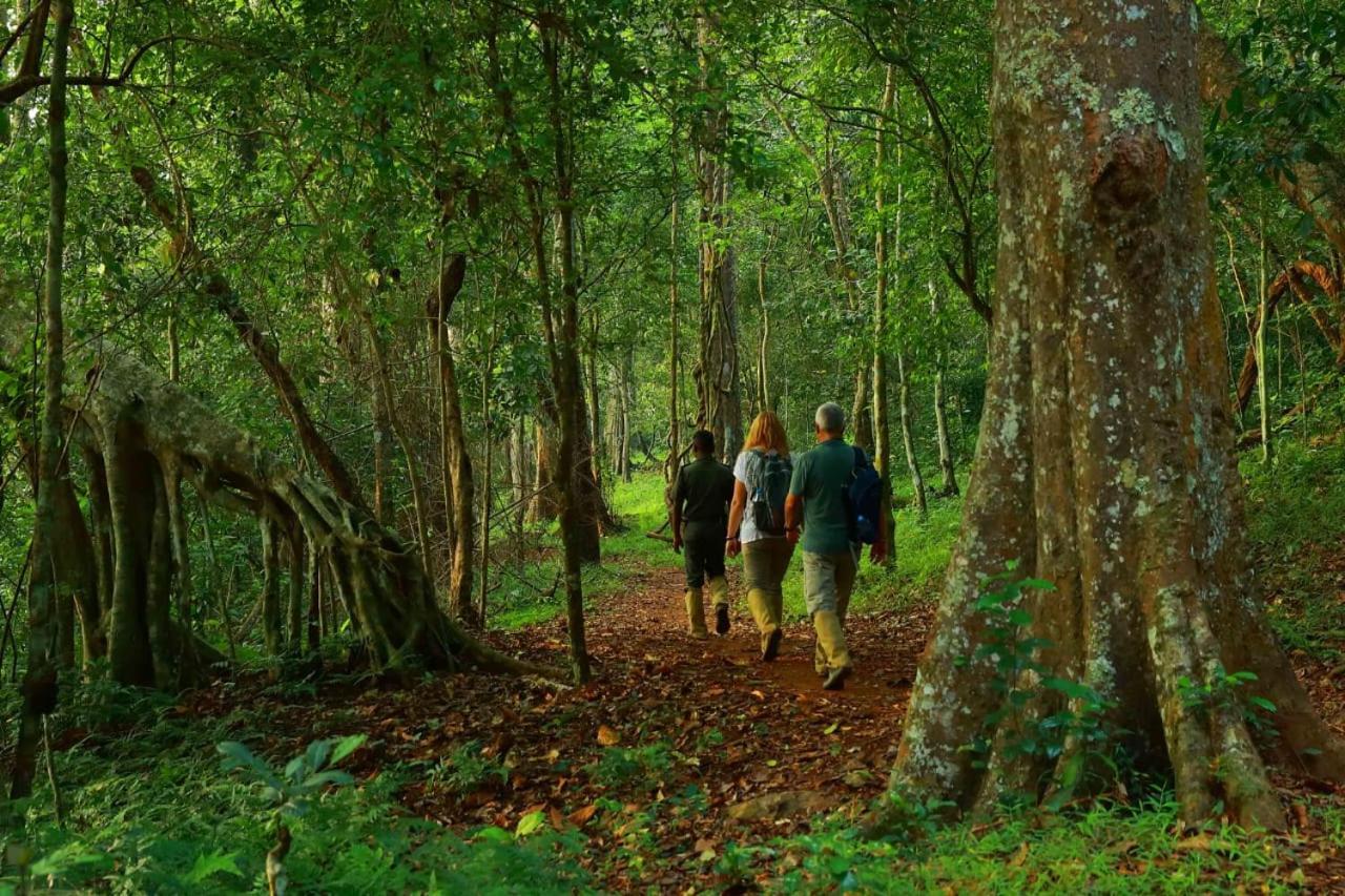 Quadriya Palace Thekkady Kültér fotó