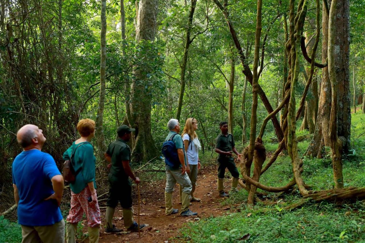 Quadriya Palace Thekkady Kültér fotó